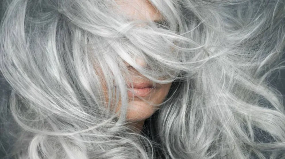 ¿Por qué tenemos canas?