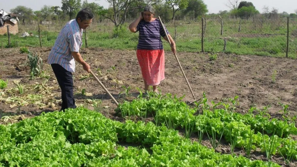 Nación lanzó un plan de inversión para la agricultura familiar