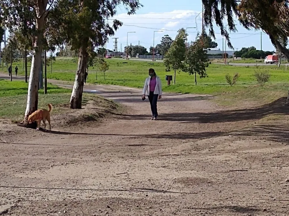 Obras públicas y vida social en el Bicentenario