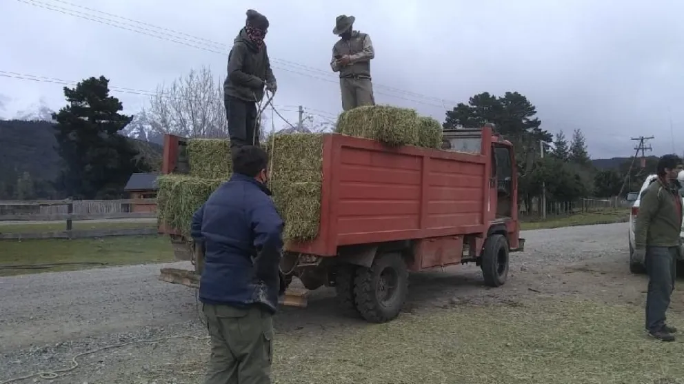 Río Negro continúa trabajando en la asistencia a productores