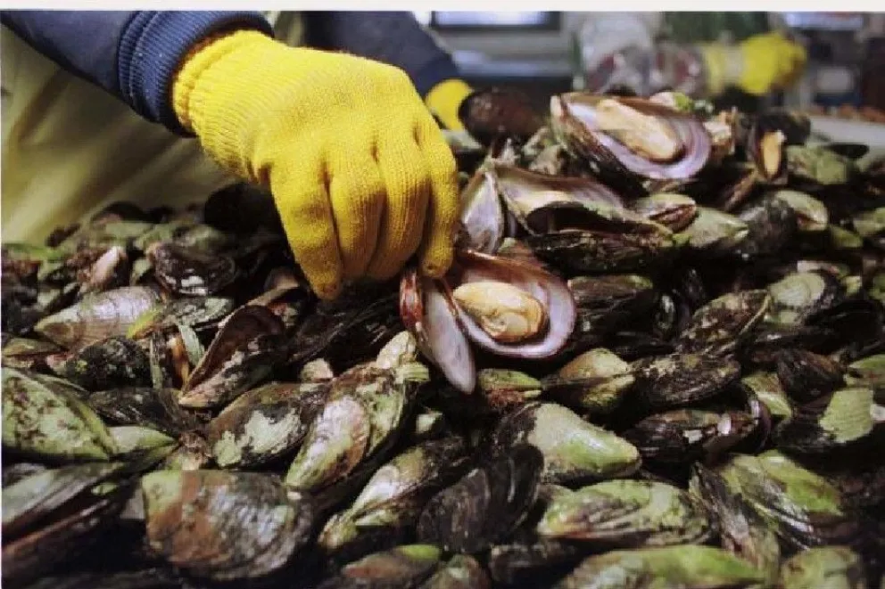 Salud alerta por Marea Roja en playas de la costa atlántica