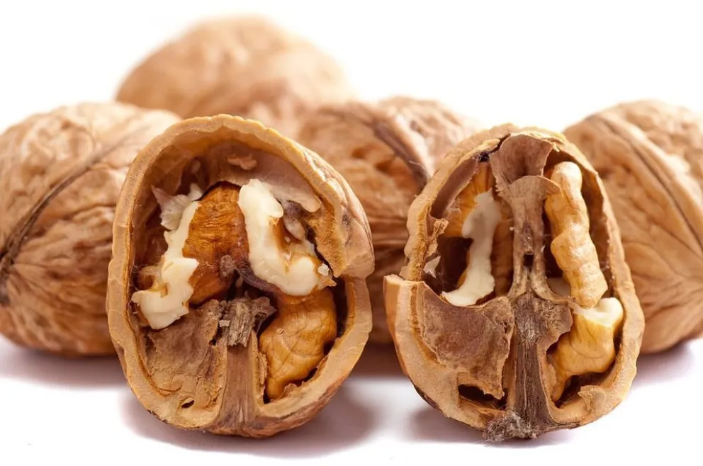 Recuperá la concentración con estos alimentos