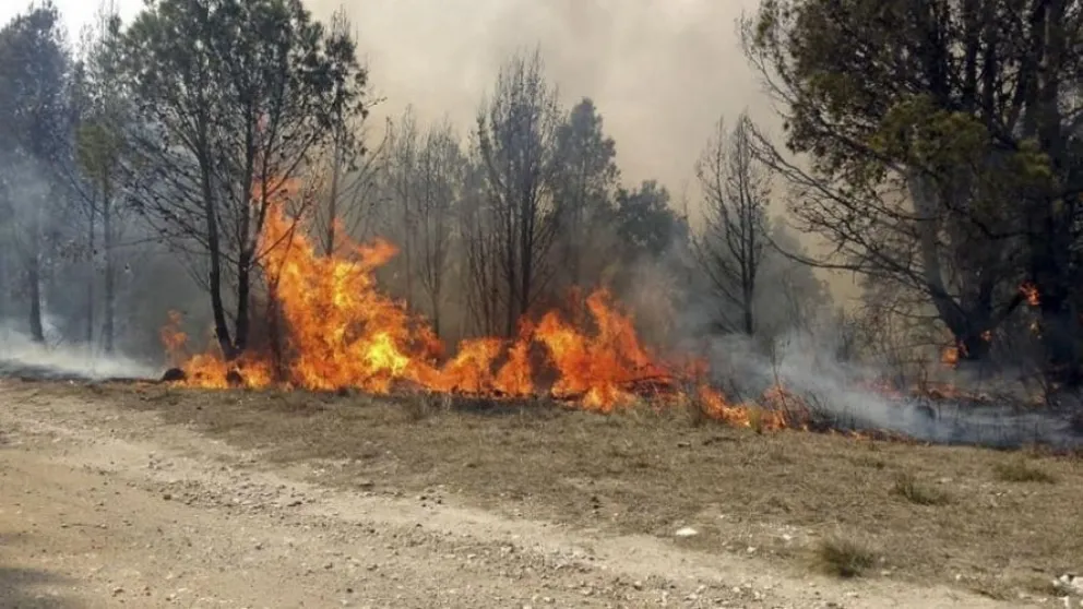 Más de 190 mil hectáreas quemadas por los incendios forestales en Córdoba