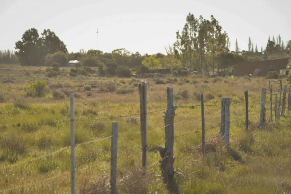 El PRO de Viedma anticipó el rechazo a la Emergencia Habitacional