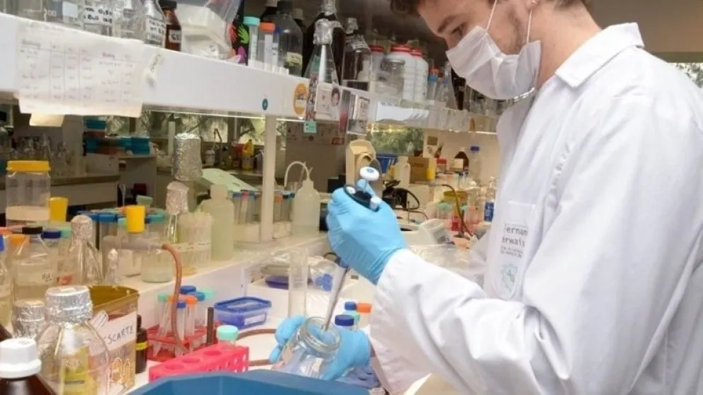 La OMS confirmó cuál fue el origen del coronavirus