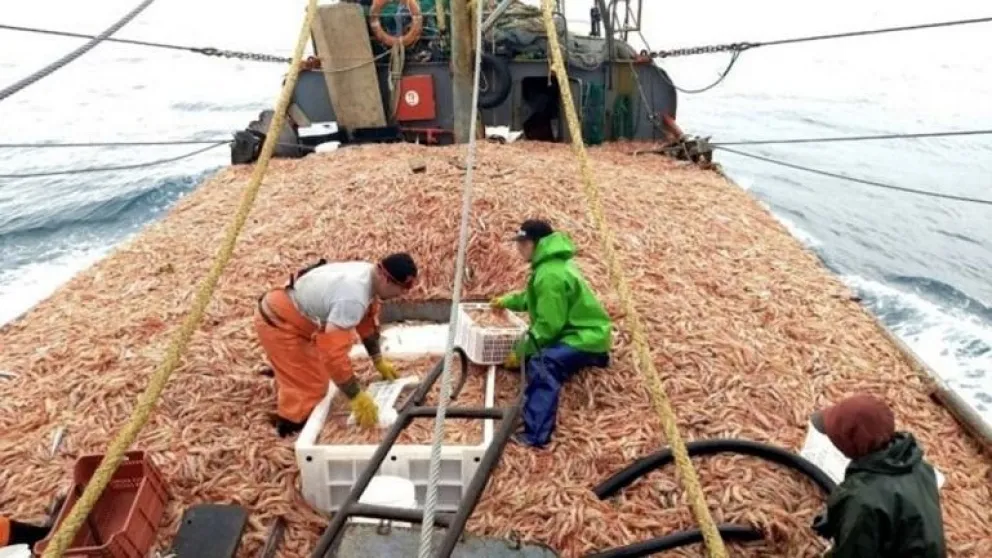 Se adelantó la pesca de langostinos en San Antonio