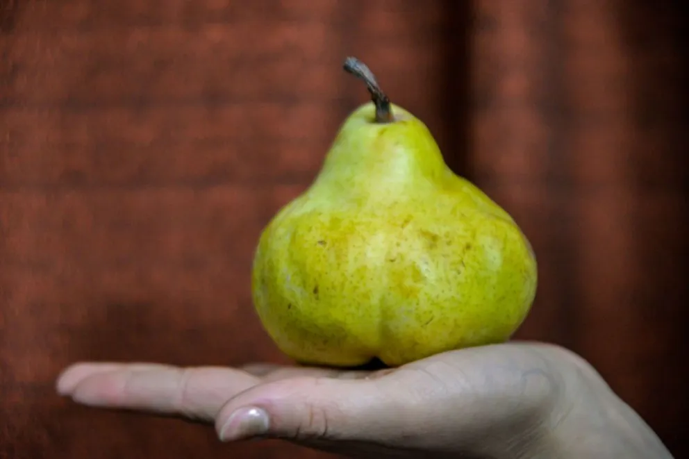 Un momento para "no mandar fruta"