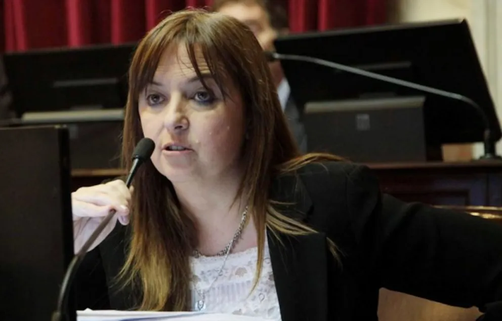 Todos los cañones contra Odarda por usurpaciones