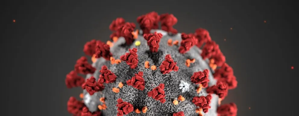 Viedma registró 41 casos más de coronavirus y se aproxima a los 500 activos