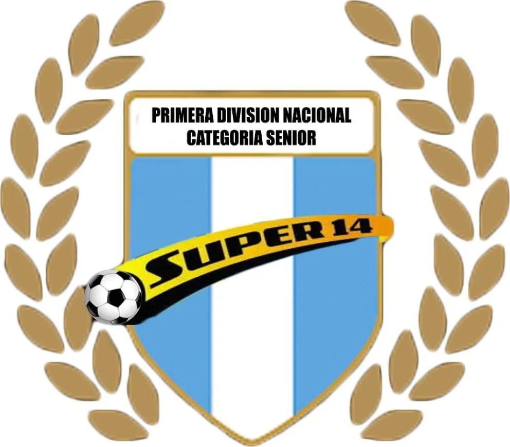 Presentaron la Primera División Nacional y la Copa Argentina Senior 2021