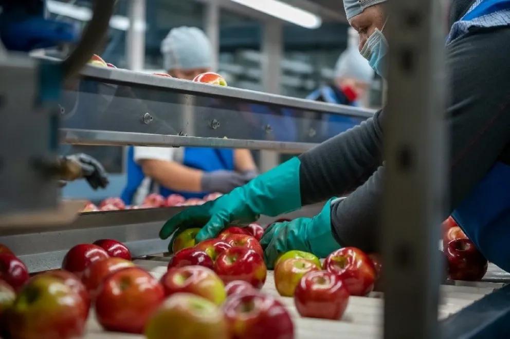 Controlarán el ingreso de migrantes para la temporada productiva