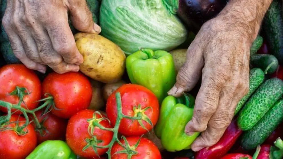 Se conmemora el Día Mundial de la Alimentación