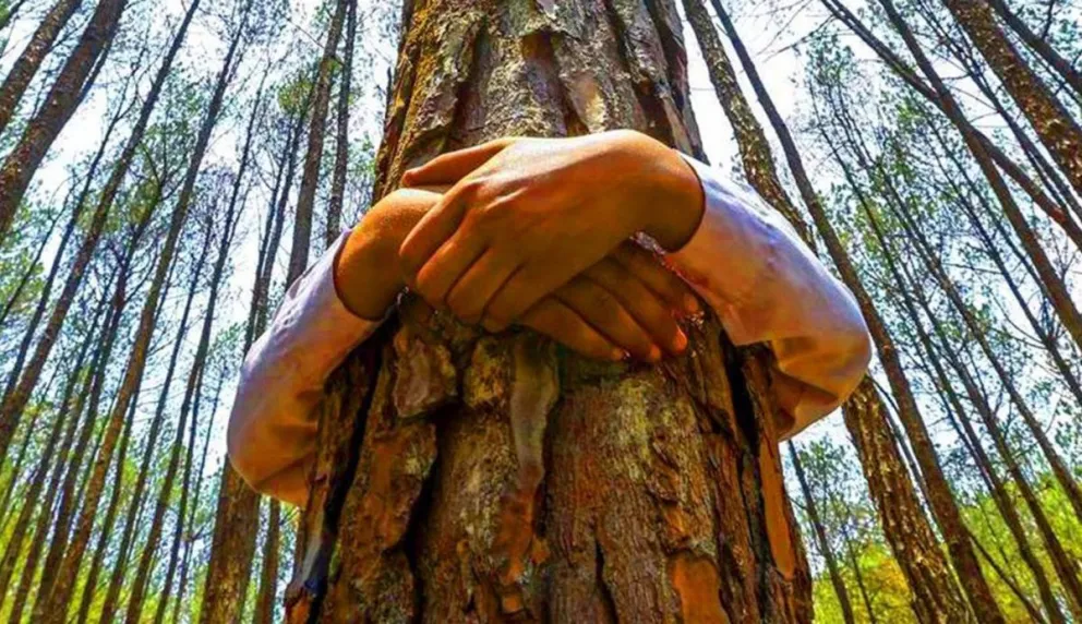 Sanar en contacto con la naturaleza
