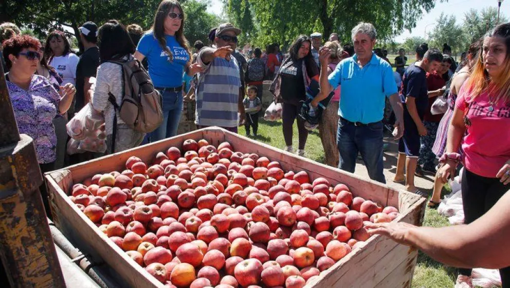 Fruticultura: "La política en Río Negro ha jugado un papel muy mediocre"