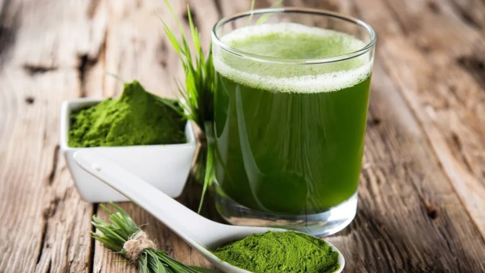 Todo lo que necesitás saber sobre la espirulina