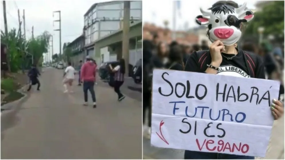Monte Grande: carniceros enfrentaron a los golpes a un grupo de veganos