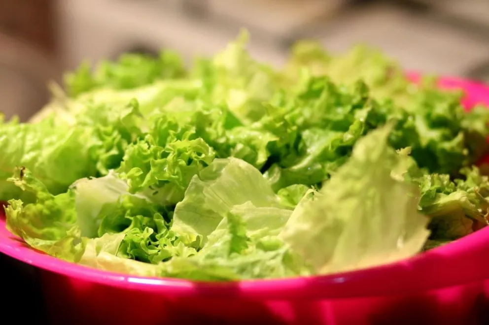 Los secretos de la Lechuga y cómo conservarla por más tiempo