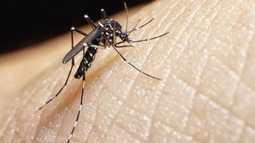 Campaña Nacional contra el Dengue en marcha