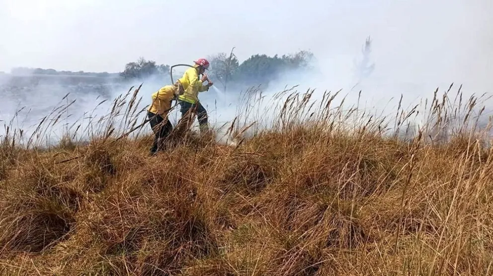Diputados tratará un proyecto para proteger terrenos de incendios intencionales