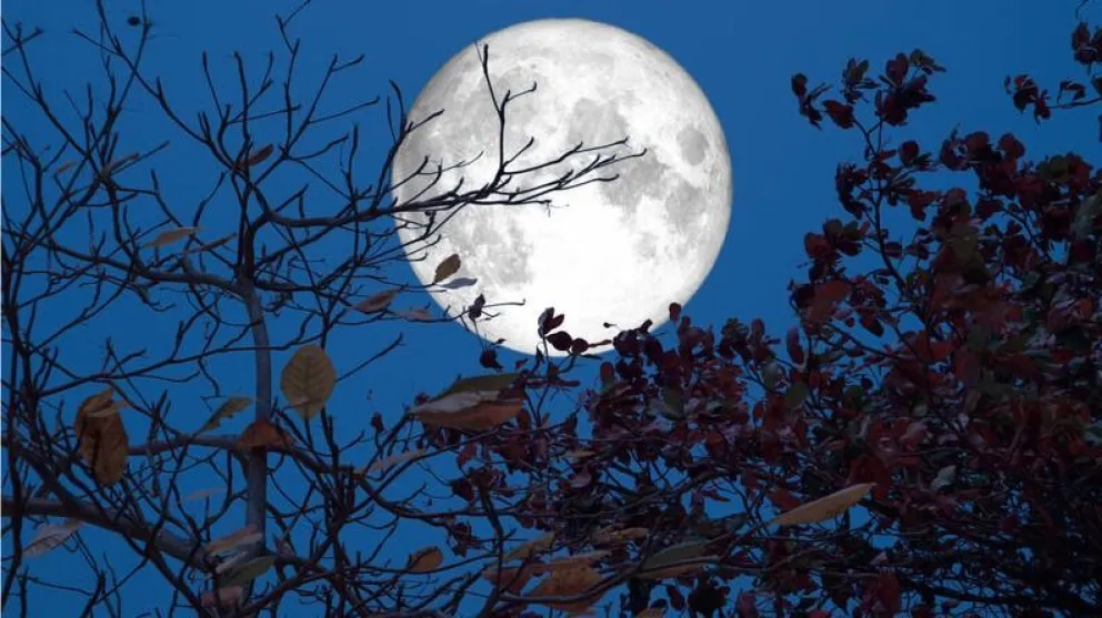 "Luna Azul", un raro fenómeno que podrá verse este sábado