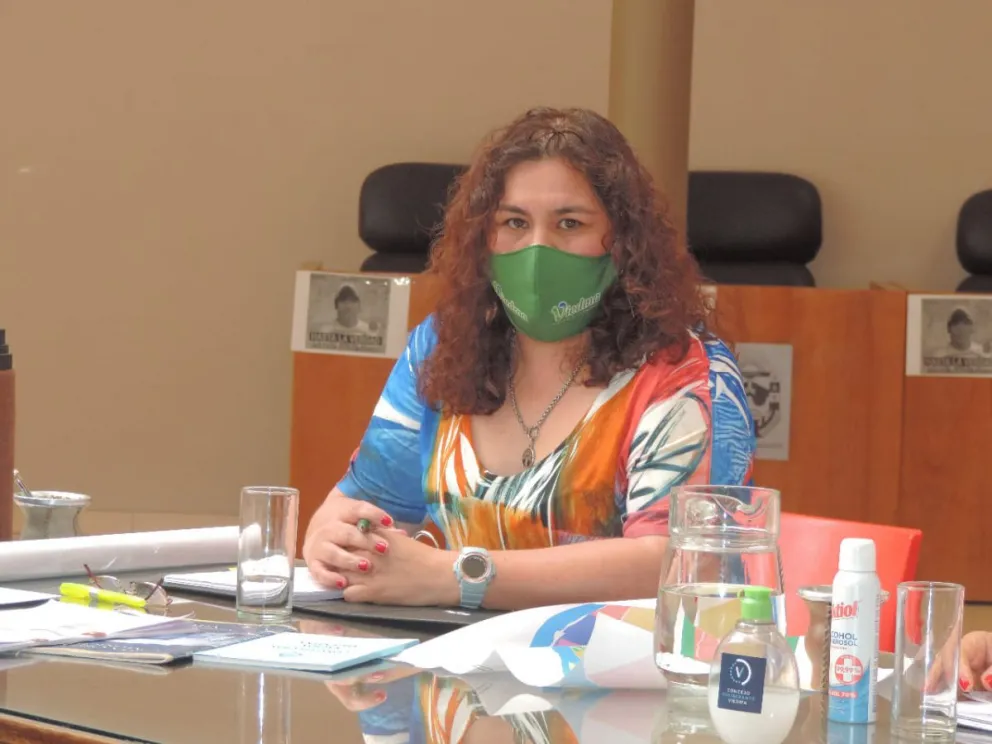 Tierras: Cullumilla apeló a que el Concejo "tenga más responsabilidad que el anterior"
