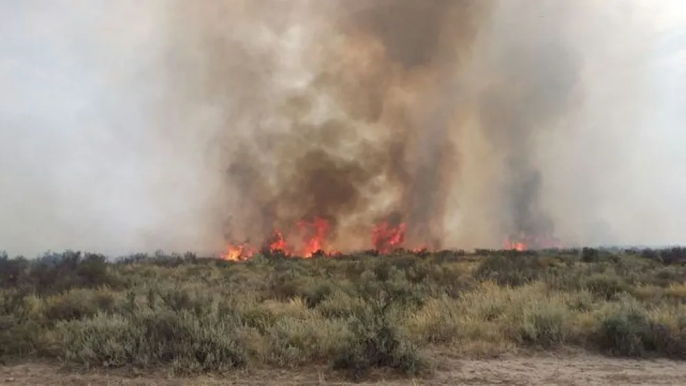 Preocupa a los productores la inseguridad y los incendios