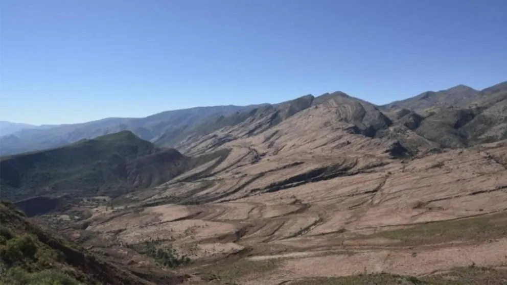 Hallan rastros de un reptil que vivió antes que aparecieran los dinosaurios