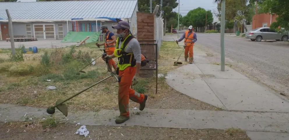 Limpieza y desmalezamiento a fin de evitar la propagación de plagas