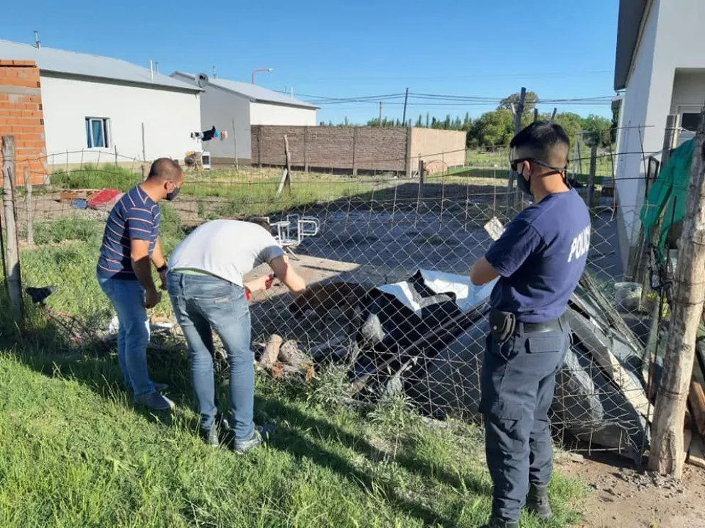 Maltrato animal: Dos perras fueron rescatadas de una vivienda en Río Colorado