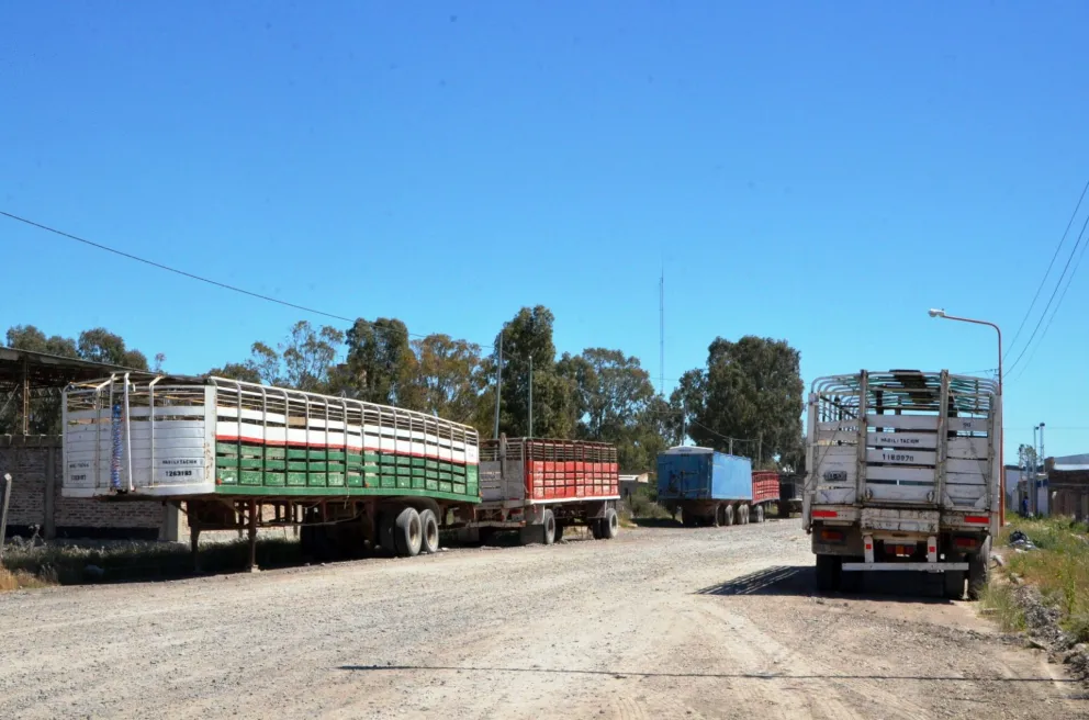 El Parque Industrial presenta los proyectos para que lleguen 60 millones de pesos