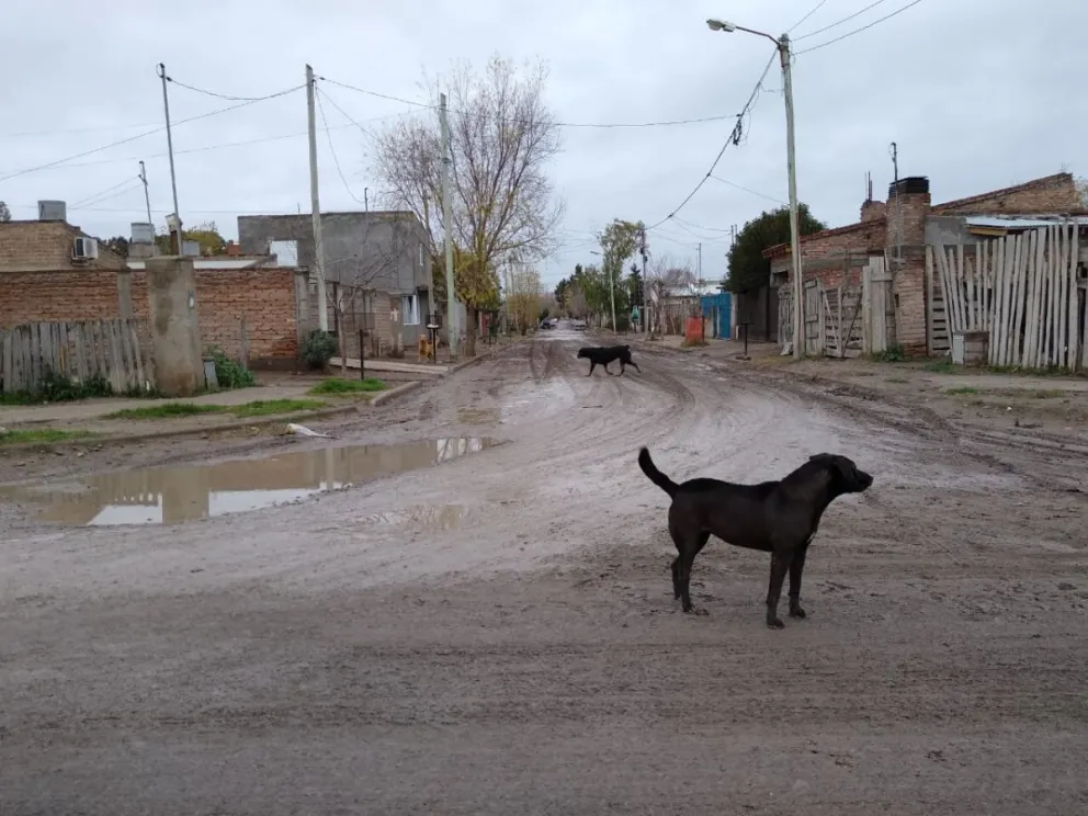 Se viene una semana con lluvias