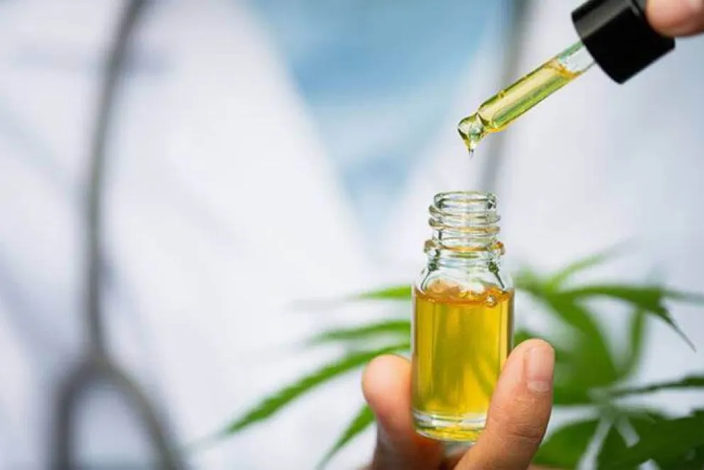 Hay consenso para avanzar en la regulación del uso medicinal del cannabis