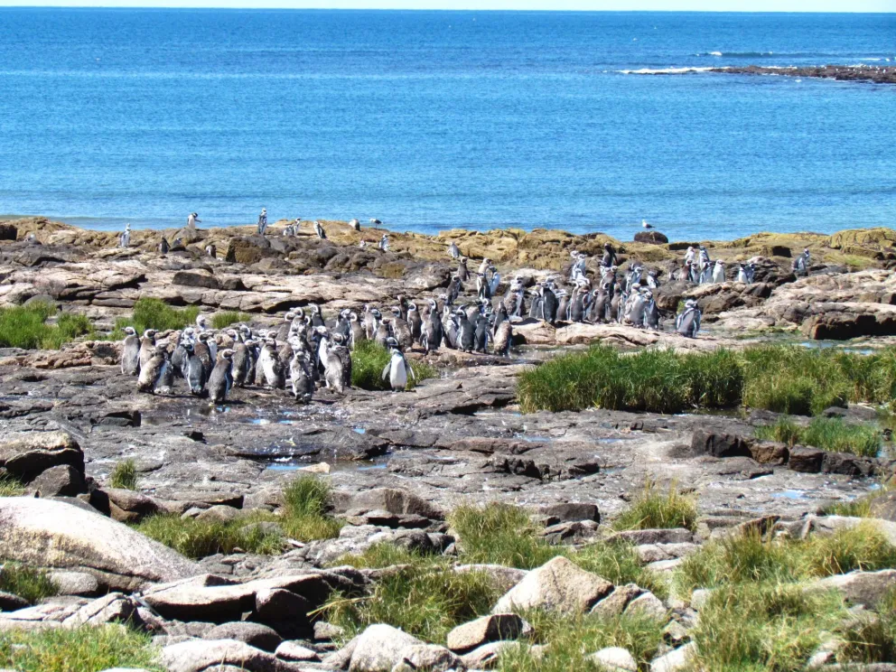 Crearán un parque nacional en el área protegida cerca de Playas Doradas