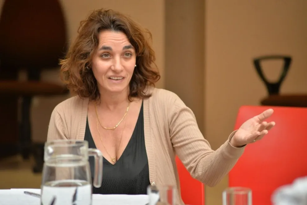 Ordenamiento territorial, el Ejecutivo envió un nuevo proyecto al Deliberante