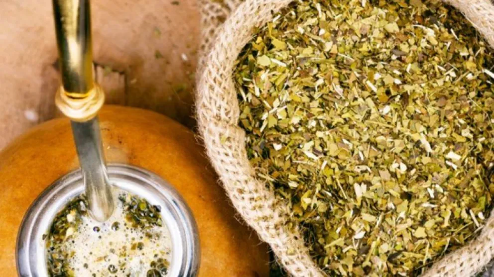 Decreto Nacional para que se consiga yerba de calidad