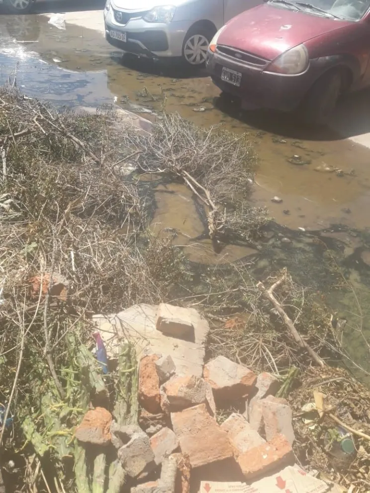 Quejas por desbordes cloacales y aguas estancadas en las 915 Viviendas