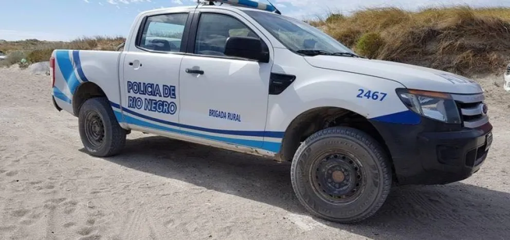 Atrapan a cazadores de jabalíes por violar la Ley de Fauna en pandemia