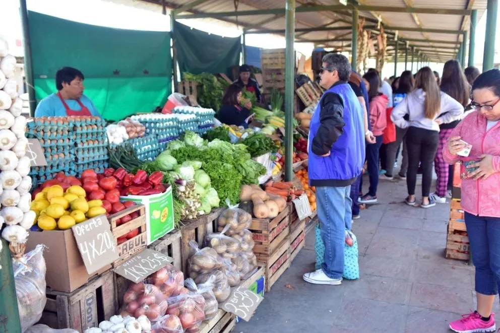 La Feria Municipal podría volver a la actividad con productores del IDEVI