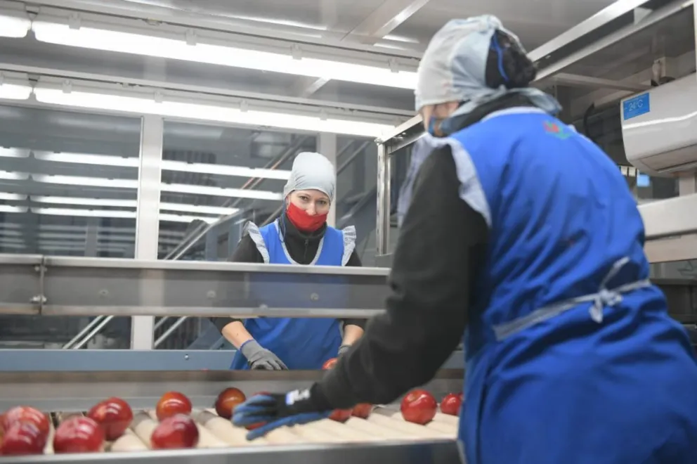 La fruta y CAFI acordaron un 22% de aumento y un embalador cobrará $66.700