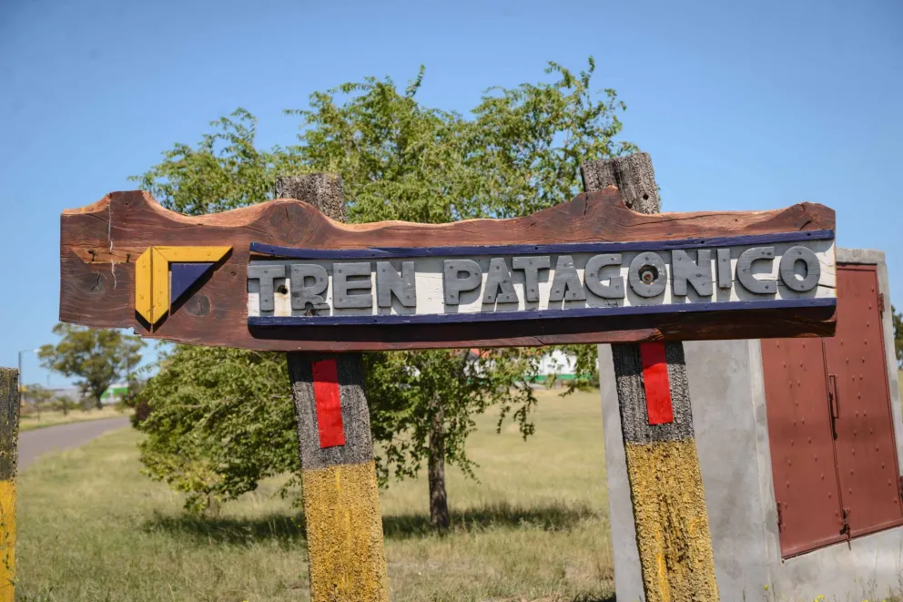 Tren Patagónico con expectativas, pero sin definiciones