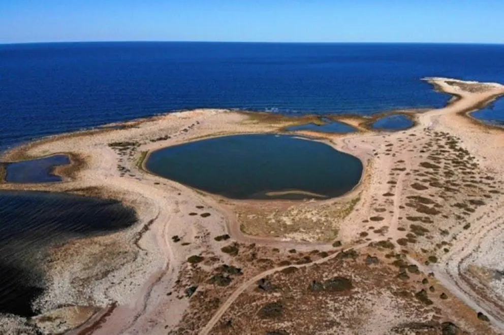 Islote Lobos: cómo es el nuevo parque nacional que tendrá Río Negro