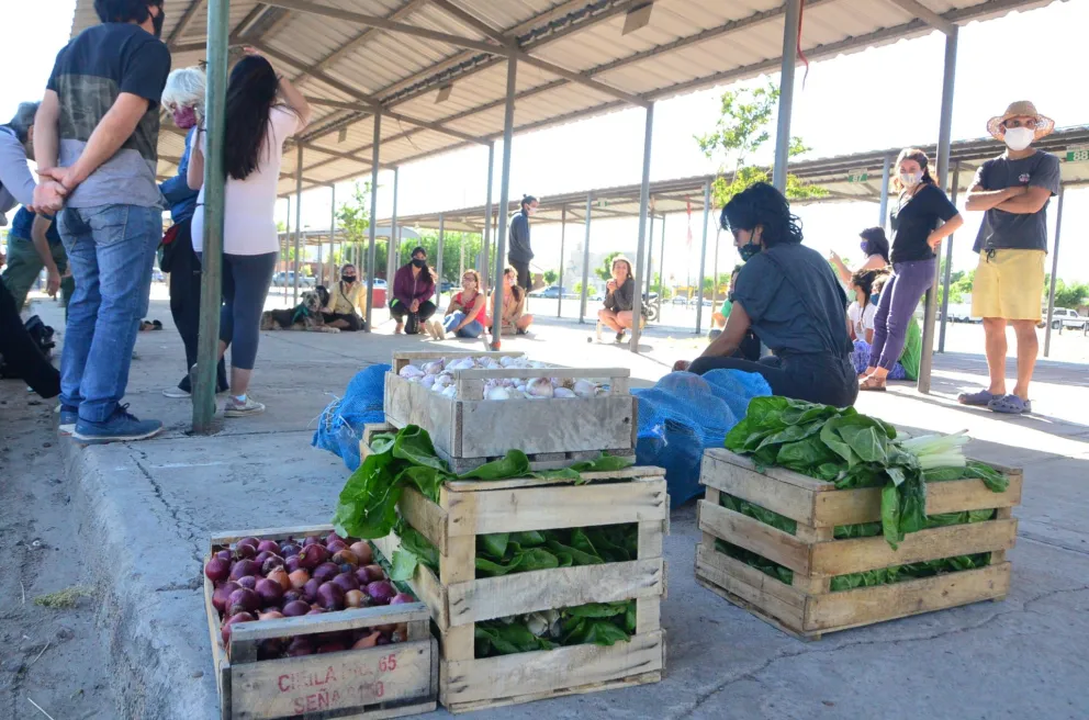 Insisten con la vuelta de la Feria para no tirar la producción a la basura