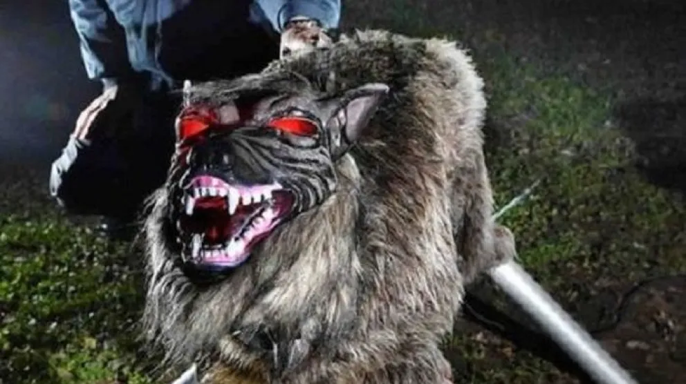 En Japón instalan lobos robot para ahuyentar osos