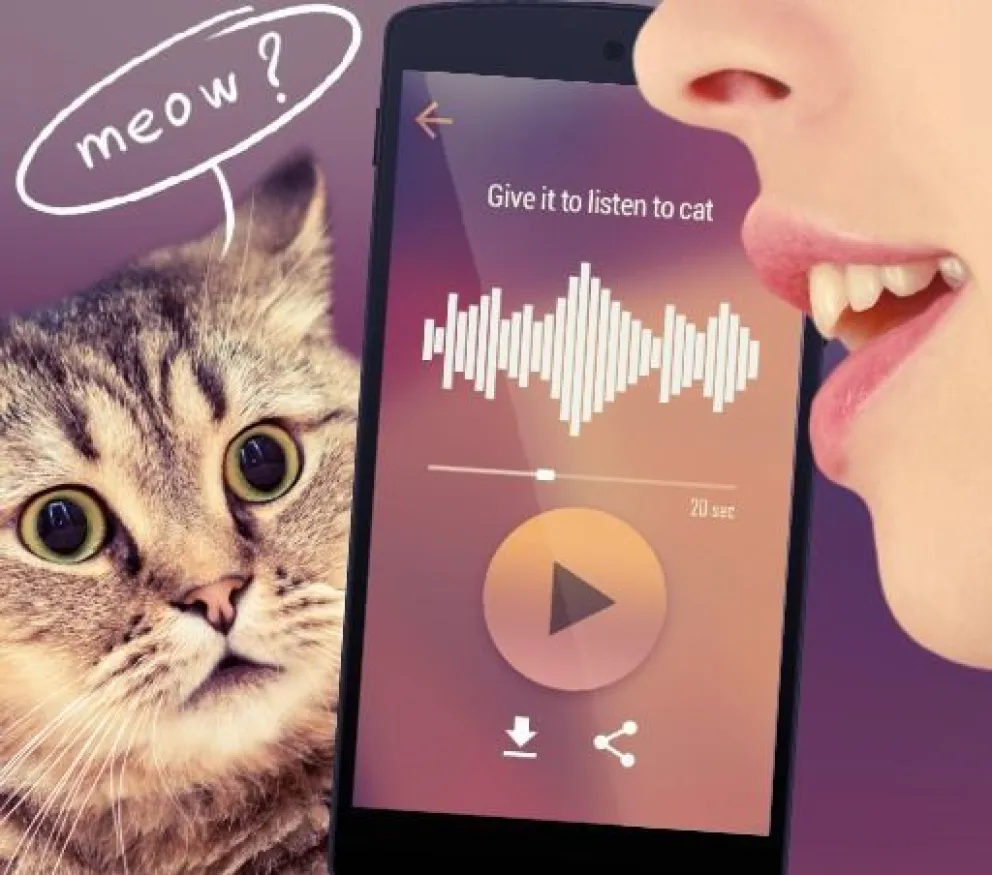 MeowTalk, la app para traducir lo que "dice" tu gato
