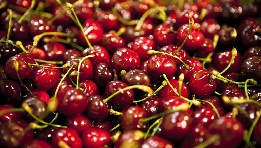 El Valle Medio, epicentro de la cereza