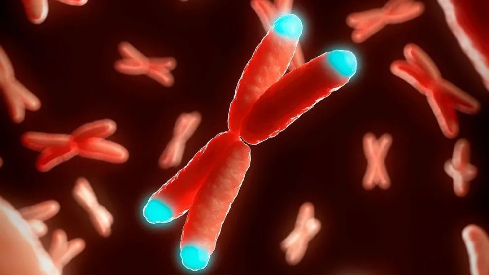 Científicos aseguran haber revertido el envejecimiento de células humanas