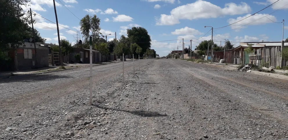 Masiva forestación en los barrios 22 de Abril, 30 de Marzo y Nehuén
