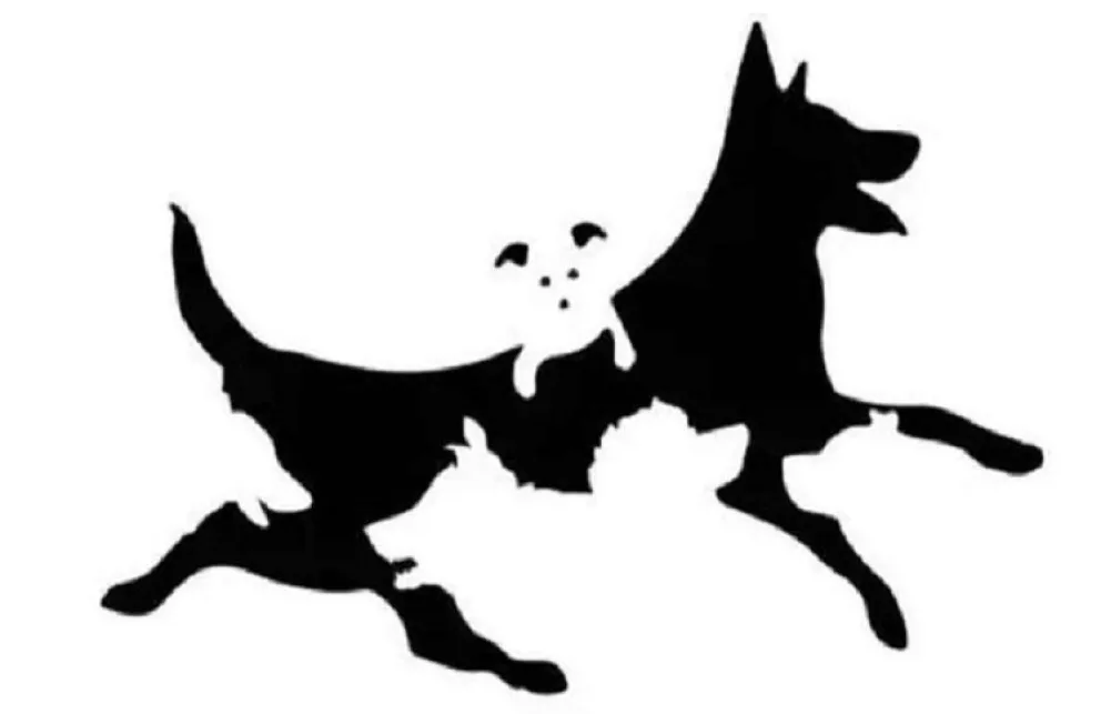 ¿Cuántos perros ves?: el test para calcular tu edad mental