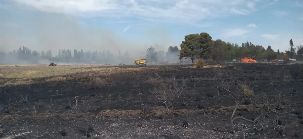 Se desató un feroz incendio de pastos en una zona de campo