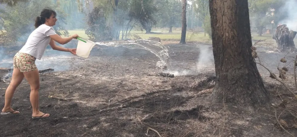 Infatigable lucha para que el fuego no llegue a viviendas